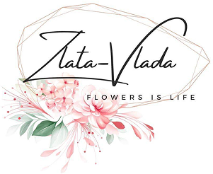 zlata-vlada
